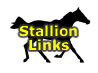 Stallions We Use
