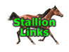 Stallions We Use
